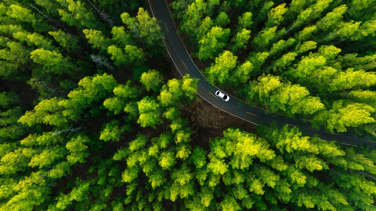 Top view of a white electric car driving dark green forest road, which is an elevated road that surrounds natural forest. Concept of using electric cars to protect the environment and transportation.; Shutterstock ID 2583517931; purchase_order: MG Awareness Launch Campaign; job: 23673; client: Mobility Global; other: Awareness Campaign