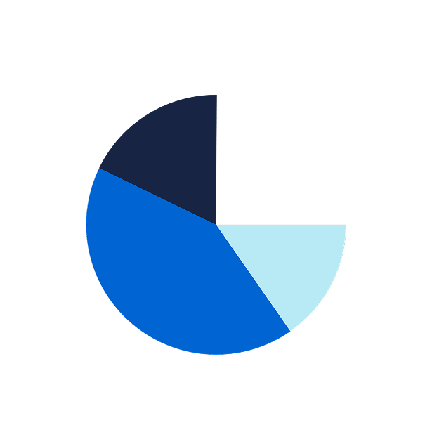 Data visualization pie chart illustration